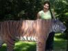 zoo 2009r