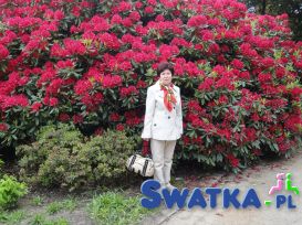 Wiosna 2014
